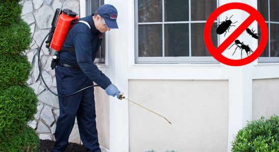 Orhangazi Kemirgen İlaçlama böcek ilaçlama ve haşere kontrolü — ilaclama-tr.com